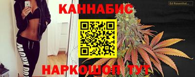 стафф Заводоуковск