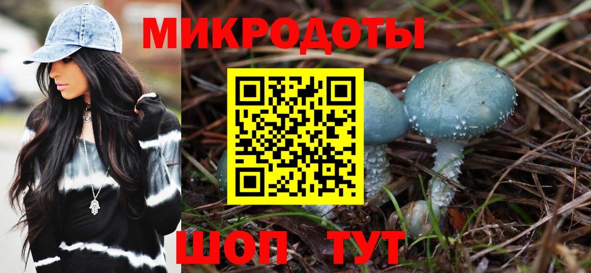 Псилоцибиновые грибы мухоморы Курчалой
