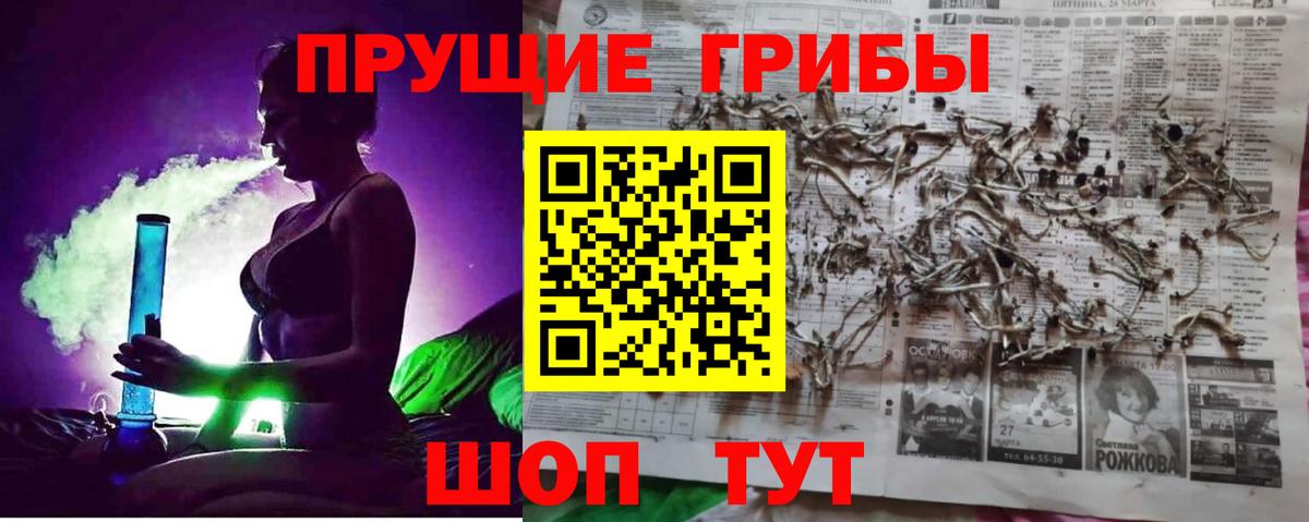 Галлюциногенные грибы Cubensis  Вход с VPN  Курчалой  Псилоцибиновые грибы GOLDEN TEACHER 